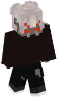 Skinfile