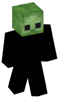 Skinfile
