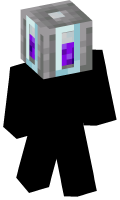 Skinfile