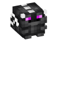 Skinfile