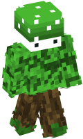 Skinfile