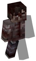 Skinfile