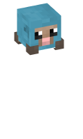 Skinfile