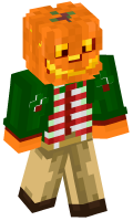 Skinfile