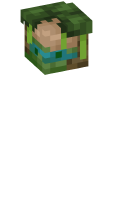 Skinfile