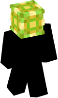 Skinfile