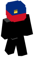 Skinfile