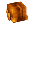 Skinfile