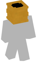 Skinfile