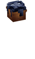 Skinfile