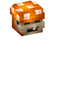 Skinfile