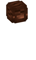 Skinfile