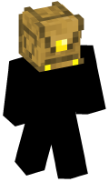 Skinfile