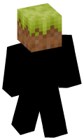 Skinfile