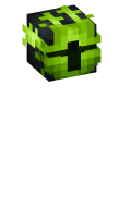 Skinfile