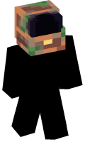 Skinfile