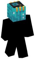 Skinfile