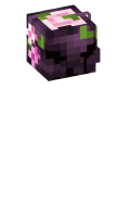 Skinfile