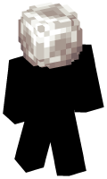 Skinfile