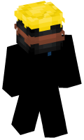 Skinfile