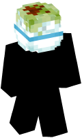 Skinfile