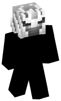 Skinfile