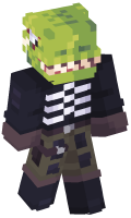 Skinfile