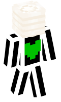 Skinfile