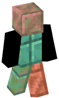 Skinfile
