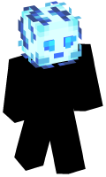 Skinfile