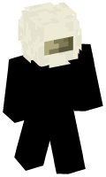 Skinfile