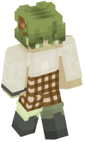 Skinfile