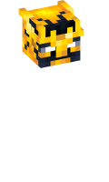 Skinfile