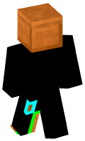 Skinfile