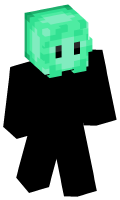 Skinfile