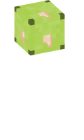Skinfile