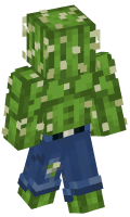 Skinfile