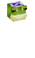Skinfile