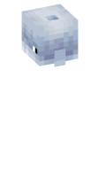 Skinfile