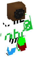 Skinfile