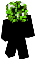 Skinfile