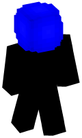 Skinfile
