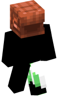 Skinfile