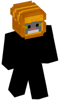 Skinfile