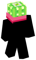 Skinfile