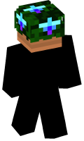 Skinfile
