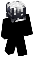 Skinfile
