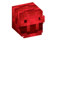 Skinfile
