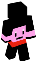Skinfile