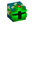 Skinfile